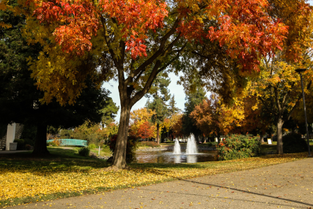 Village Lake and Bizzini Hall
