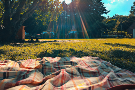 a park setting with a blanket on the grass and trees in the background