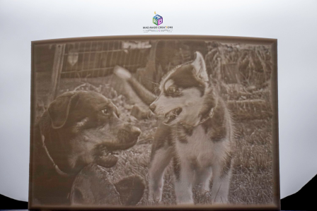 A 3D printed lithophane of two dogs.