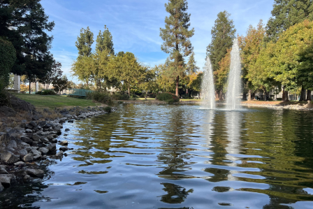 Bizzini Hall's Lakeside