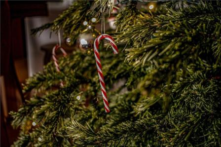 Candy Cane