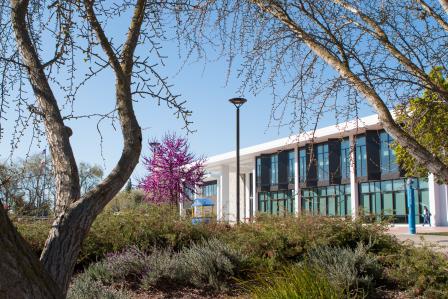 Vasche Library in the spring time with trees getting ready to bloom.
