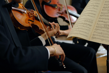 People playing the violin