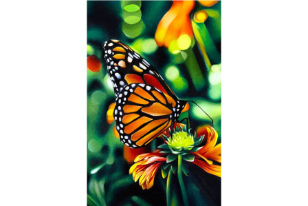 Art: "In Full Bloom", butterfly on plant, colored pencil, Carlos Rodriguez Diaz
