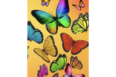 butterflies
