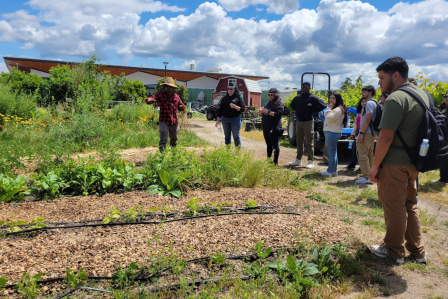 Stan State Sustainability Garden tour.