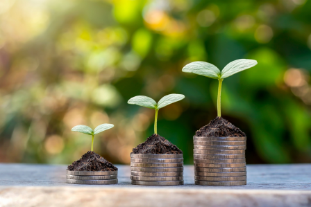 Plants growing on top of coins