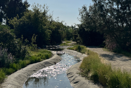 Trans California Pathway
