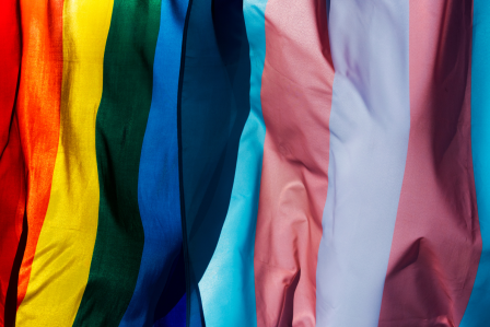 Transgender Flag