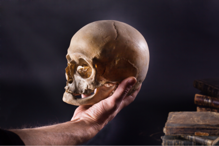 Person holding a skull