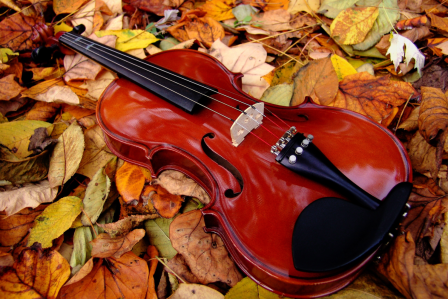 Fall leaves with violin