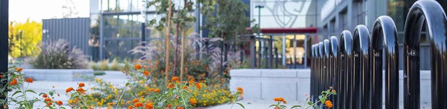 Stanislaus State campus