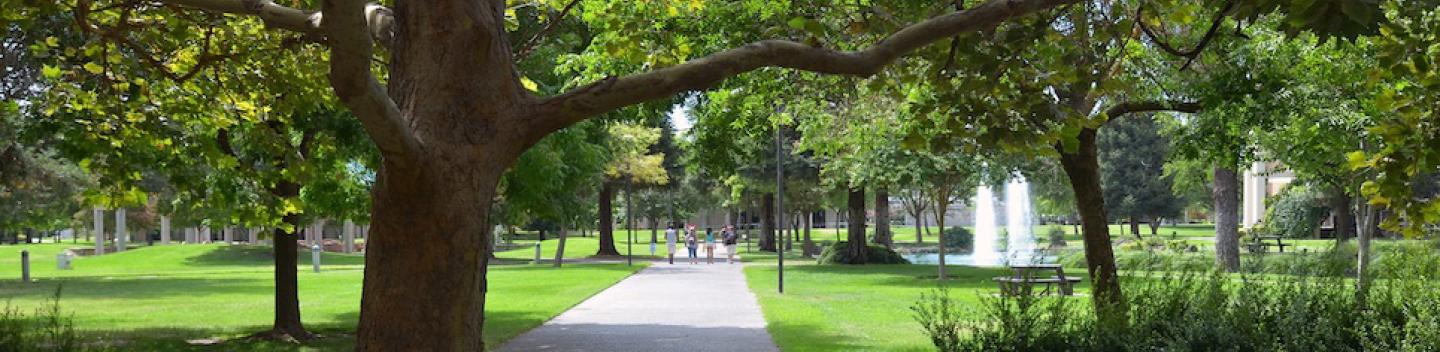 walkway near Village Lake