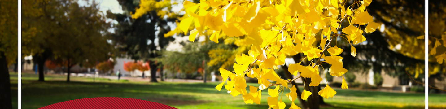 Fall campus photo.