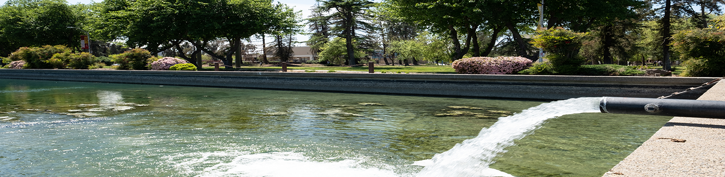 Water flowing from pump into the Reflecting Pond