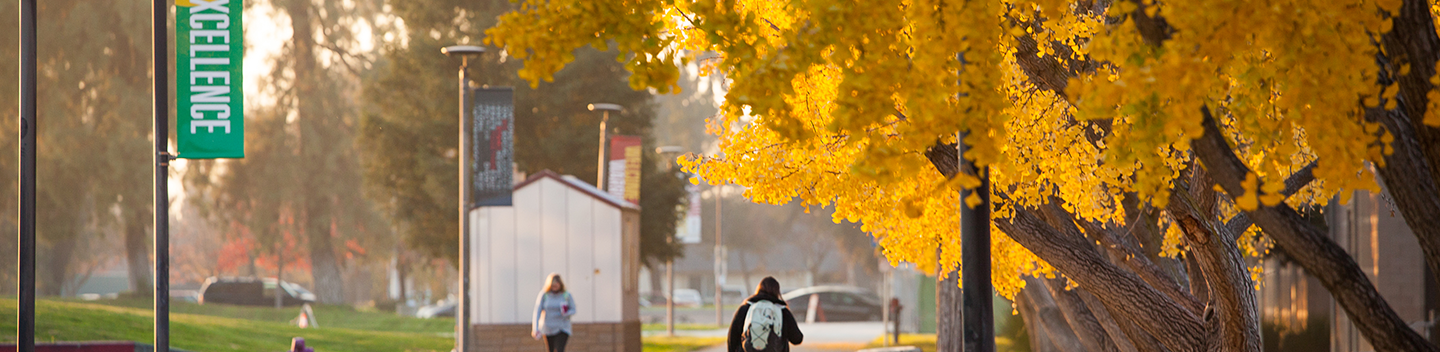 Exterior campus shot with fall colors