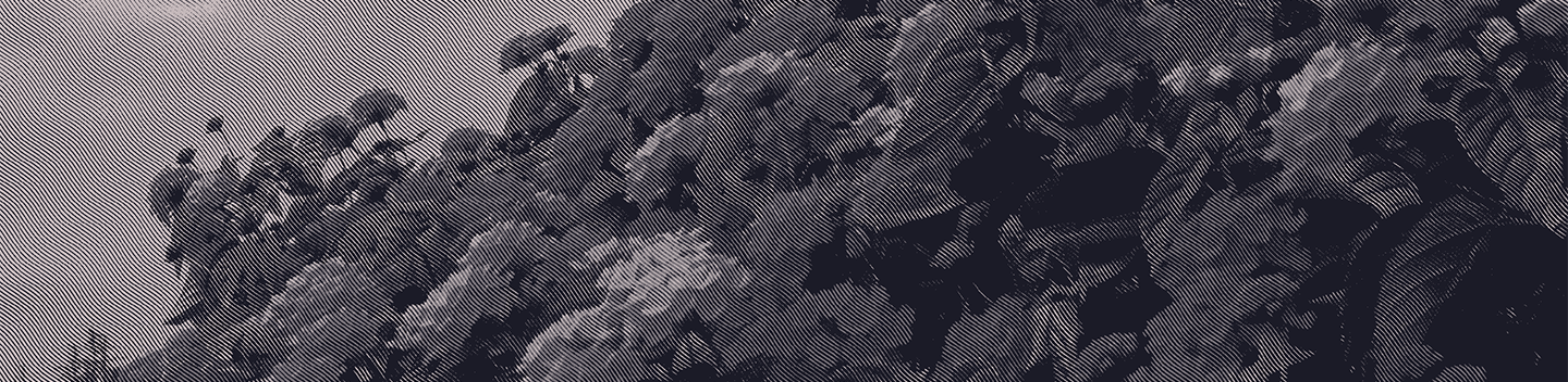 vang_digitial_banner.png