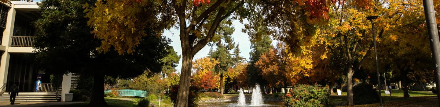 Landscape photography of a Ginko biloba in the fall in front of Village Lake.