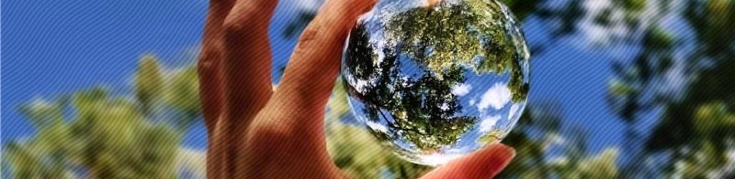 A hand holding a clear glass ball with the sky and trees in the background.