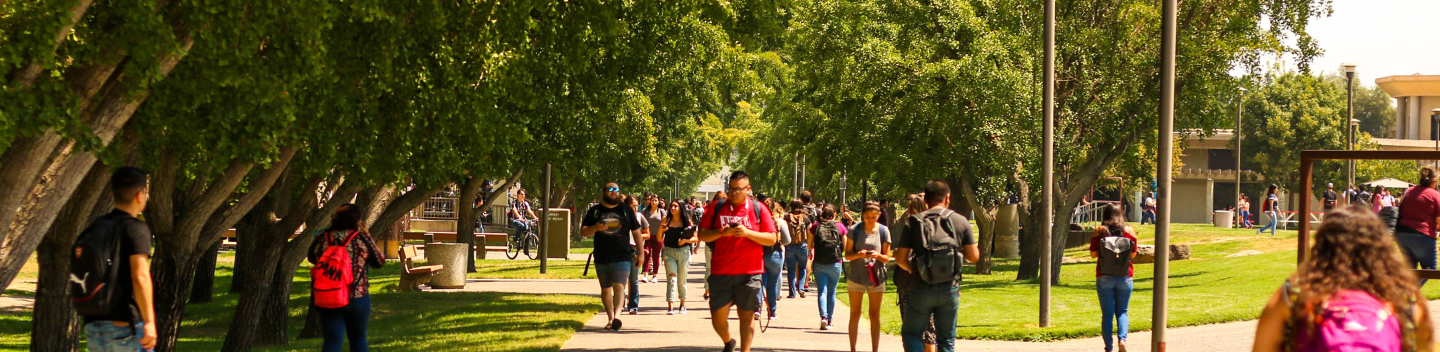 Students walking across campus
