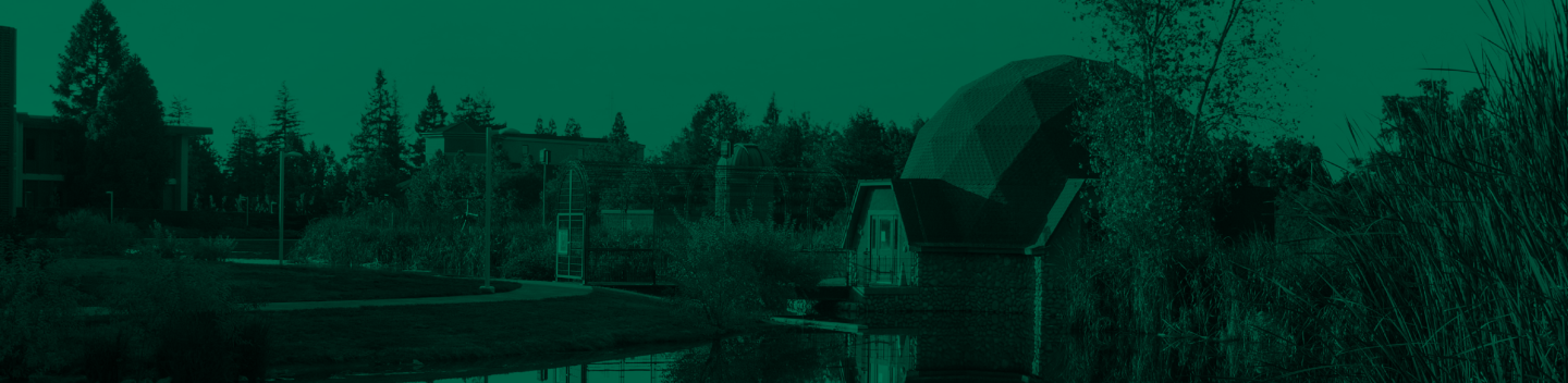 Willow Lake on campus with a green overlay for the holidays