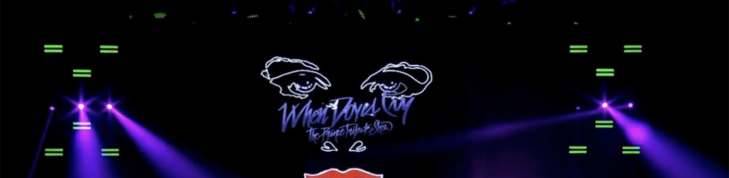 When Doves Cry - Prince Tribute Band