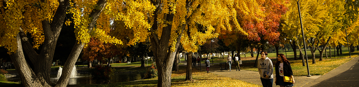 Banner of students walking on campus.