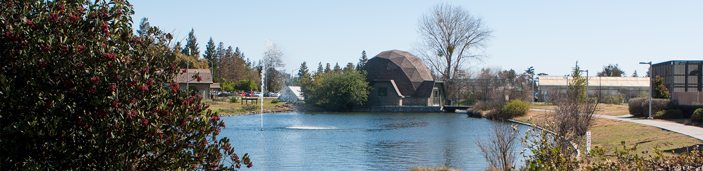 Exterior image of a water feature at Stan State in Turlock.