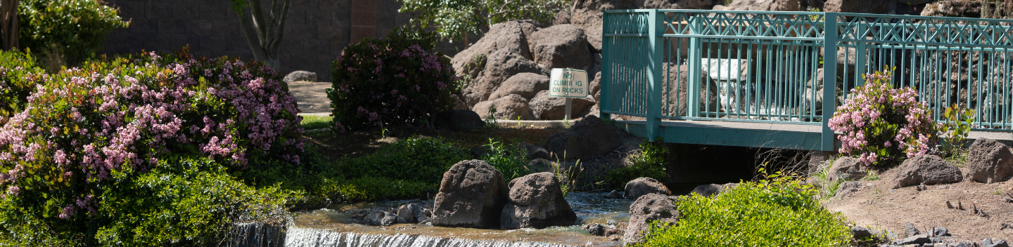 A view of the waterfall near the Stan State amphitheater