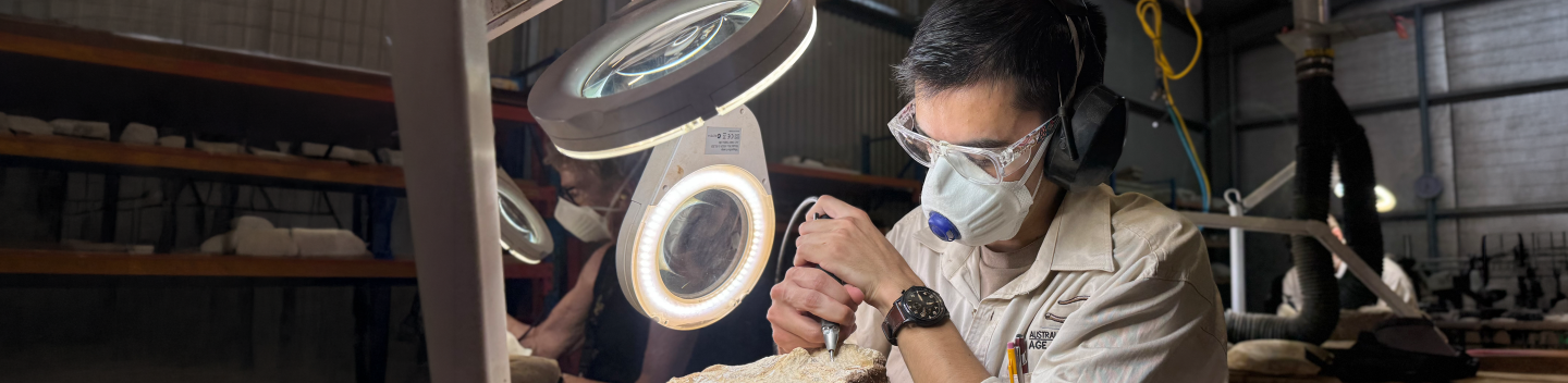 Sebastian Lara preparing a 110-million-year-old ichthyosaur fossil
