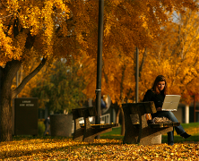 students on laptop