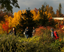 students on campus