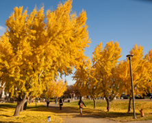 Stan State campus in the fall. 