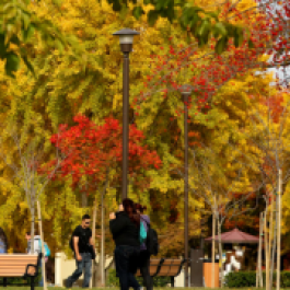 campus in autumn