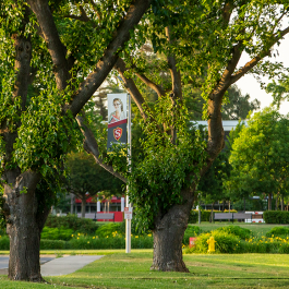 Stan State campus