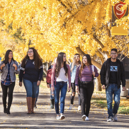 students on campus