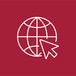 VPN Icon