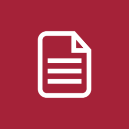 document icon
