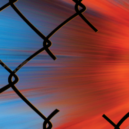 Broken Fence