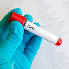 A test tube containing an H5N1 sample