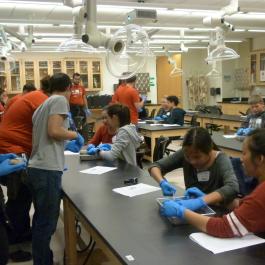 Students wearing blue gloves work at lab tables in a science classroom, examining specimens while instructors help nearby.