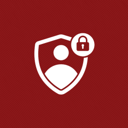 Security icon