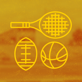 Graphic of a racket, football and a basketball. 