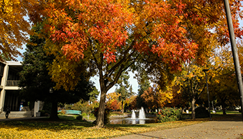 Village Lake in autumn