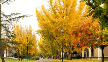 campus in autumn