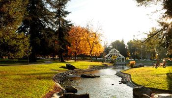 campus in autumn