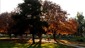 campus in autumn