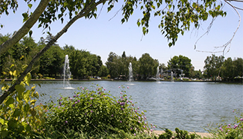 Csustan Spring 2025