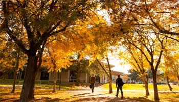 campus in autumn