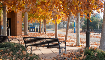 campus in autumn